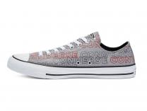 Мужские кеды Converse Chuck Tailor All Star Wordmark Print low 170109C - фото 4